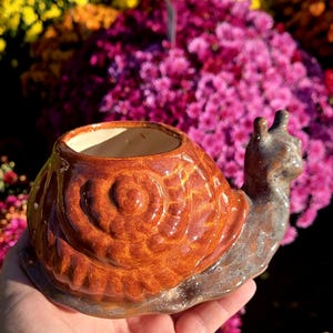 May include: A ceramic snail-shaped planter with a glossy, brown finish. The snail's shell features a detailed spiral design, and the head is a contrasting gray-brown. The planter is designed to hold small plants or flowers.