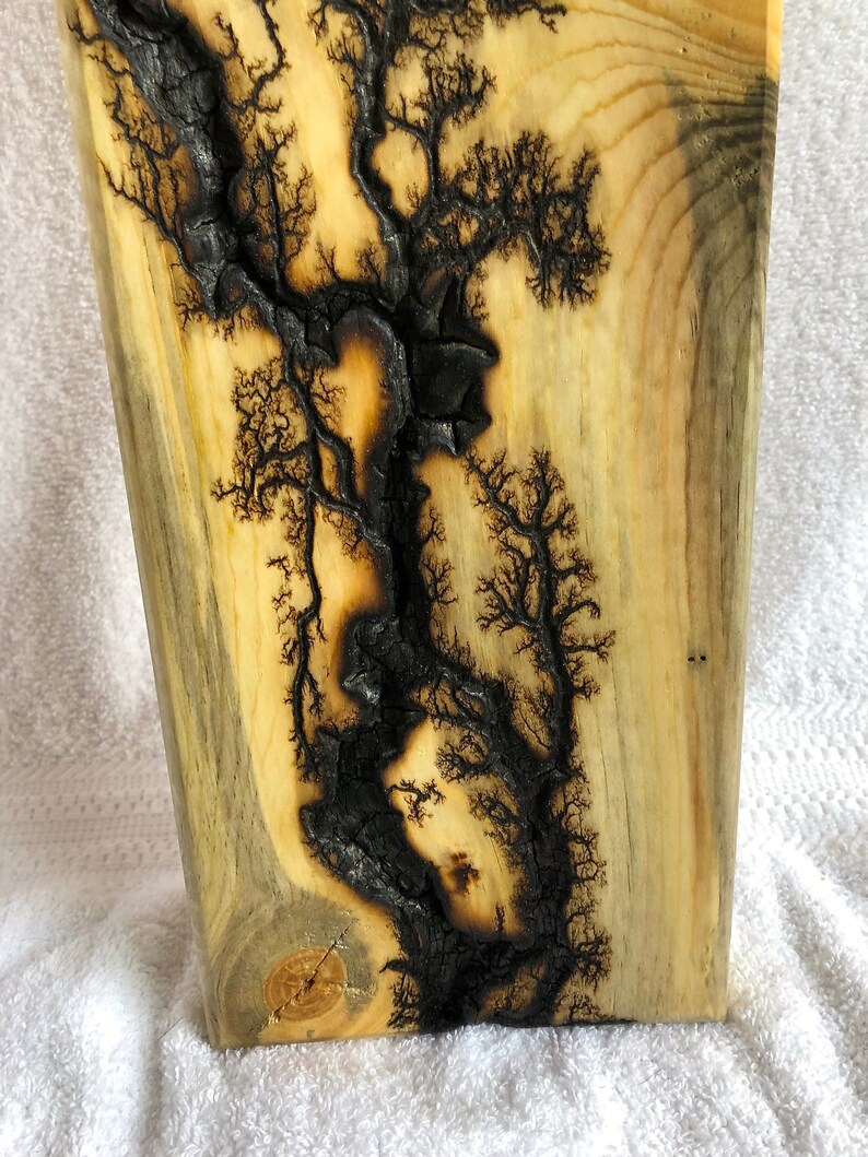 fractal wood burning video fractal wood burning video