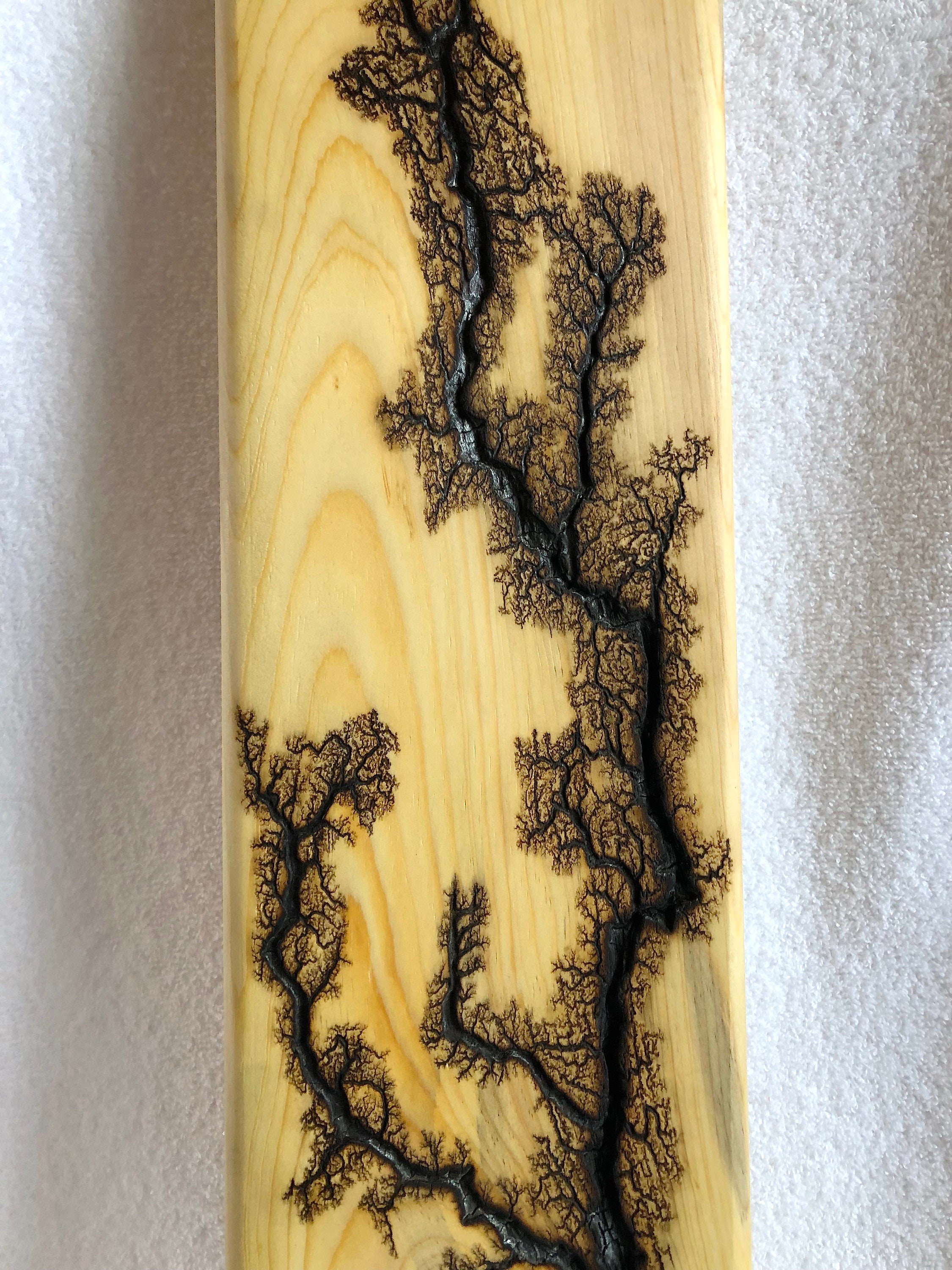 fractal wood burning video