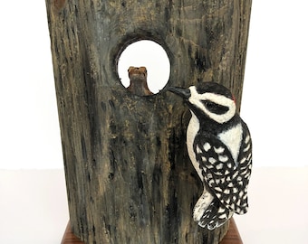 Wood Pecker & Lizard Wood Carving