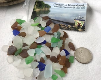 Vaso de playa de 3 oz > Compre 2 y obtenga 1 onza gratis Bolsa mixta Authentic Treasures Lake Erie No. 2 bolsas iguales más ENVÍO terrestre GRATIS