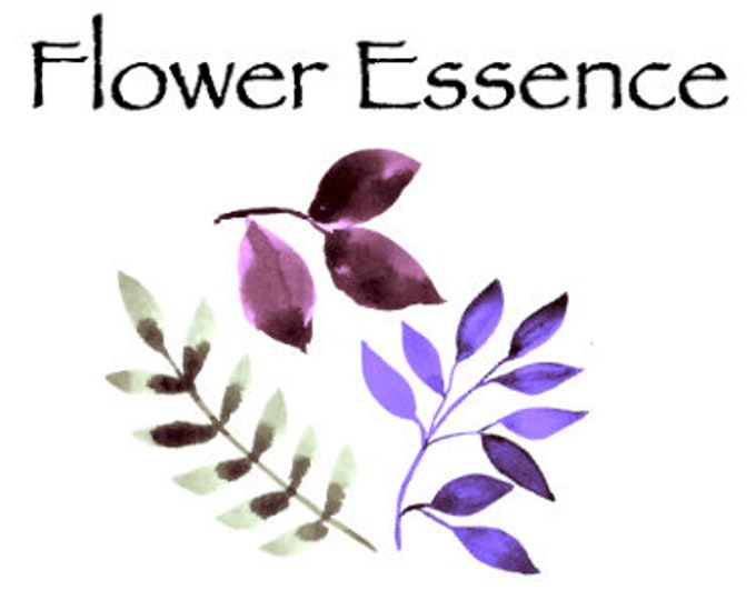 Flower Essence Therapy