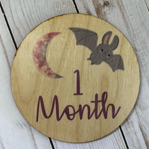 Baby bat or baby ghost, goth baby wood milestone photo props