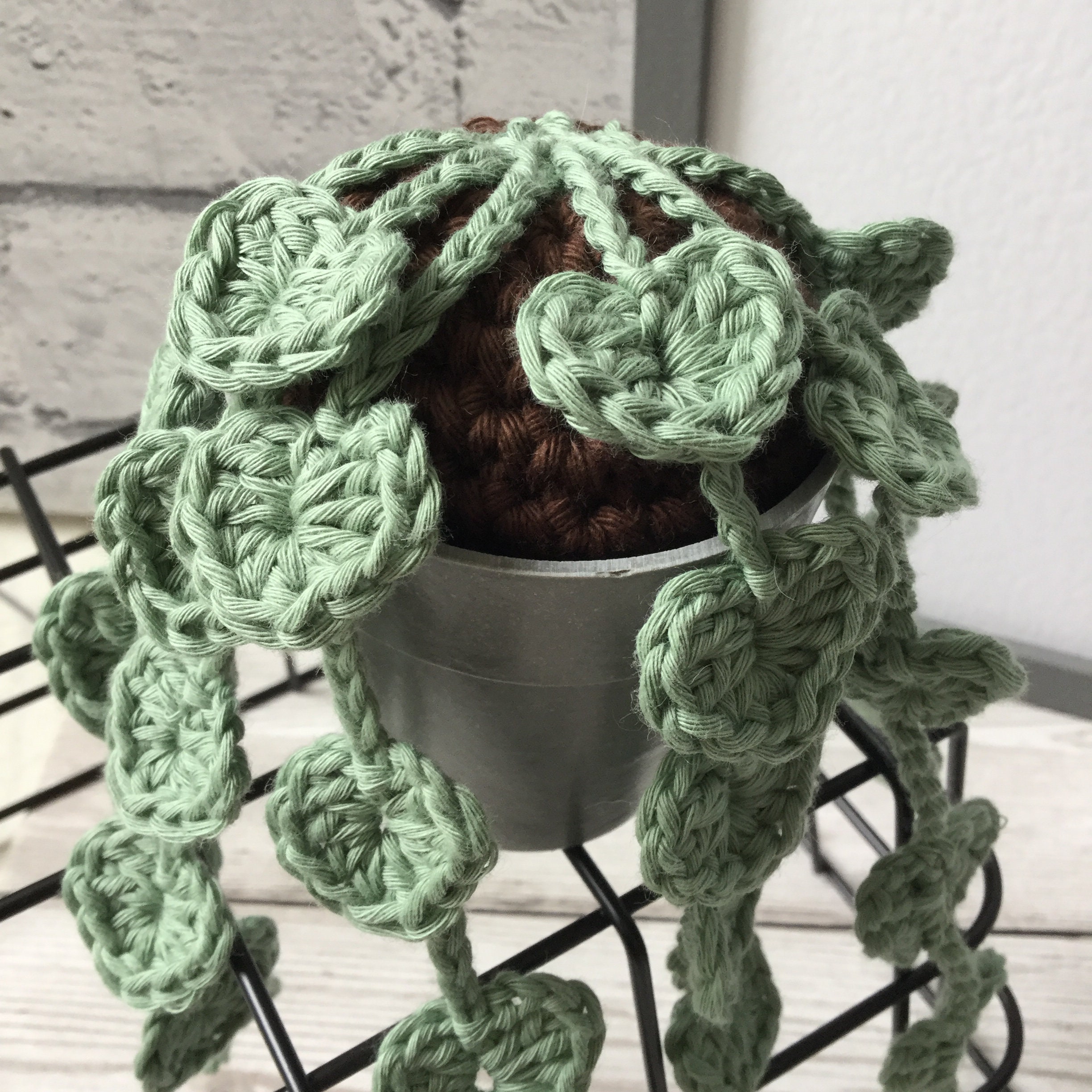 String of Hearts CROCHET PATTERN // Crochet Plant Pattern // Etsy Canada