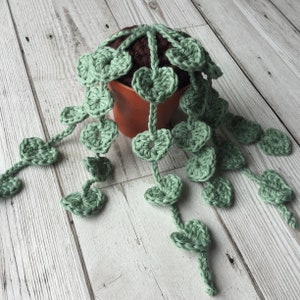 String of Hearts CROCHET PATTERN // Crochet plant pattern // Crochet Succulent Pattern image 8