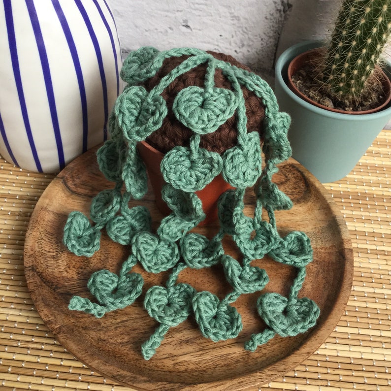 String of Hearts CROCHET PATTERN // Crochet plant pattern // Crochet Succulent Pattern image 7