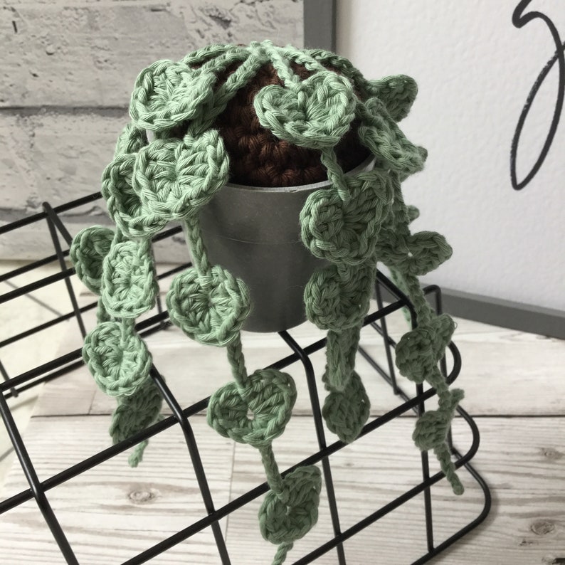 String of Hearts CROCHET PATTERN // Crochet plant pattern // Crochet Succulent Pattern image 6