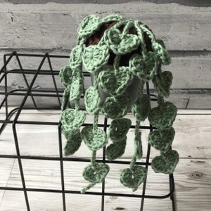 String of Hearts CROCHET PATTERN // Crochet plant pattern // Crochet Succulent Pattern image 4