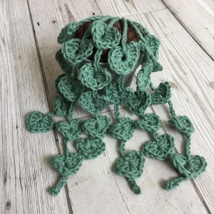 String of Hearts CROCHET PATTERN // Crochet plant pattern // Crochet Succulent Pattern image 2