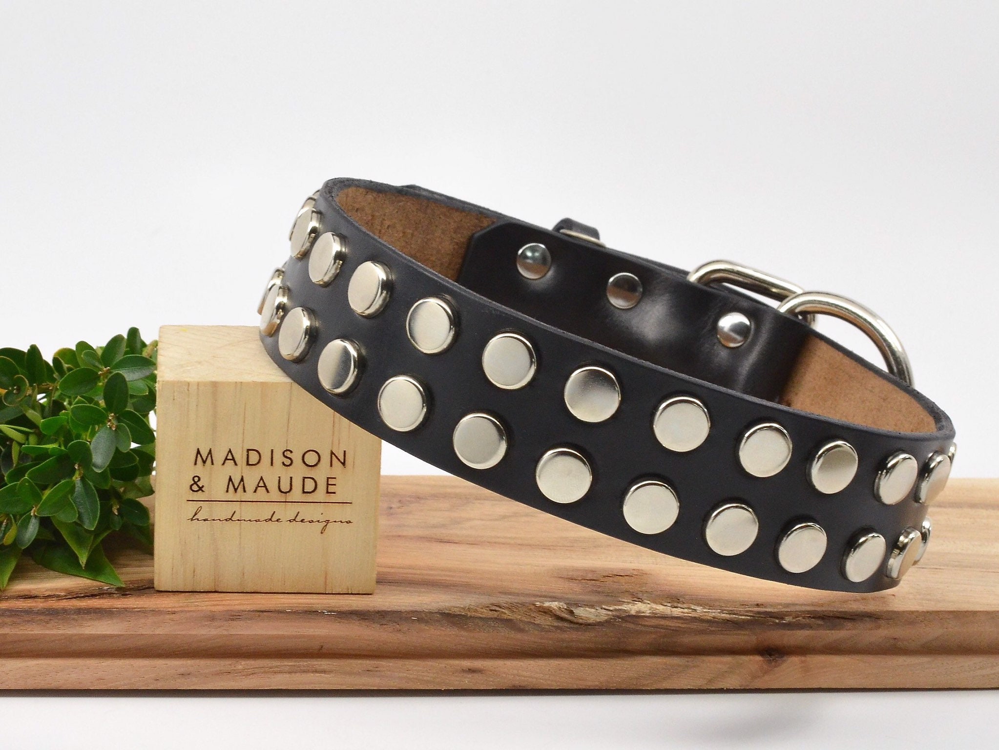 silver dog collar