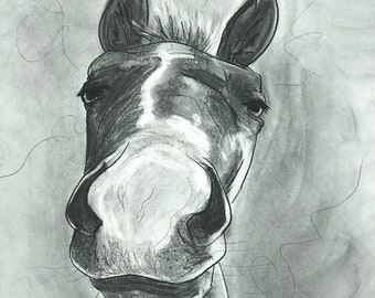 What&#39;s Up?-paard houtskool tekening print-paard print, dierenprints, paardenkunstwerk, paardentekening, paardenkunst, paardenportret