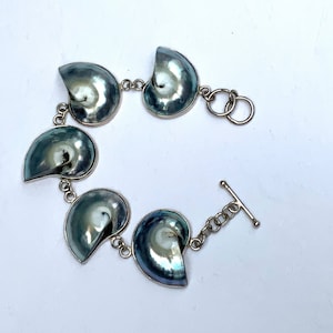 Nautilus shell bracelet, 925 silver