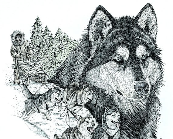 Petit Traîneau à Chiens Animaux Art Print Stylo Dessin à Lencre Sans Cadre