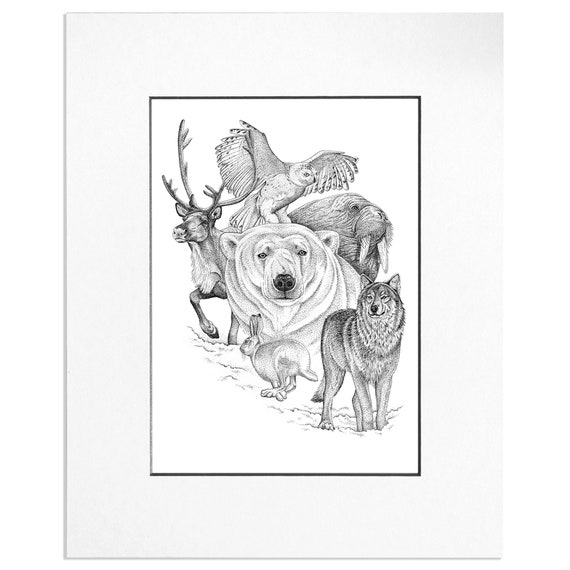 Large Northern Animals Art Print Pen Ink Drawing Unframed - Etsy Large Northern Animals Art Print Pen Ink Drawing Unframed - Etsy