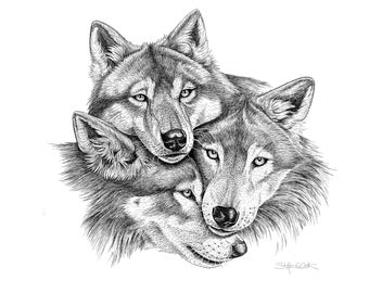 Schwarz und weiß Platzmatte Wolf Portrait 4er Set Digitaldruck Schwarz und weiß Platzmatte Wolf Portrait 4er Set Digitaldruck