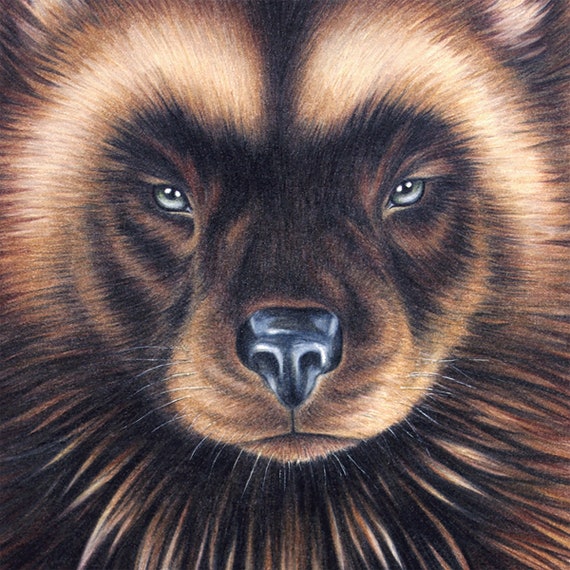 Small Wolverine Totem Portrait Animal Art Print Drawing - Etsy Small Wolverine Totem Portrait Animal Art Print Drawing - Etsy