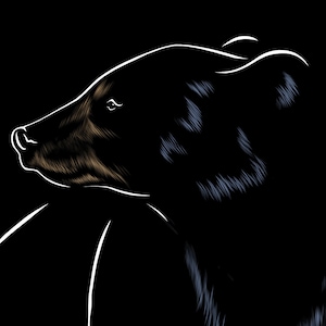 Kleiner Schwarzbär Silhouette Tier Kunstdruck, digitale Illustration ungerahmt