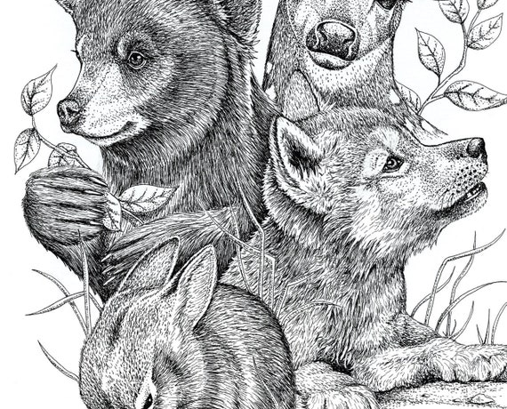 Baby Forest Animals Art Print Pen Ink Drawing Unframed Bear - Etsy Baby Forest Animals Art Print Pen Ink Drawing Unframed Bear - Etsy
