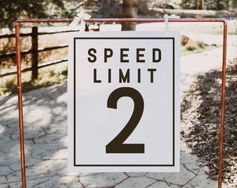 Speed Limit 2 Sign Template | TWO Fast Race Car Birthday Party Food Sign | Speed Limit 2 Printable Decor S437 S439 S468 S469 S471