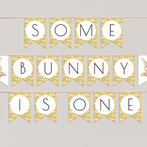 Cute Bunny Birthday Banner Decorations Set For Girls – Party Backdrop, Wall Decor, Photo Booth Props - View #2