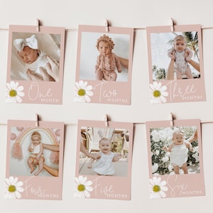 Daisy 1st Birthday Photo Banner Template | Floral Month by Month Picture Banner | 12 Months of Me First Year Birthday Decor S235