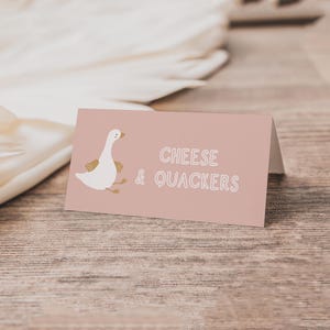 One Silly Goose Food Tent - Editable Template | DIY Girl Goose 1st Birthday Printable Place Card | Goose Party Decor Name Tag S825