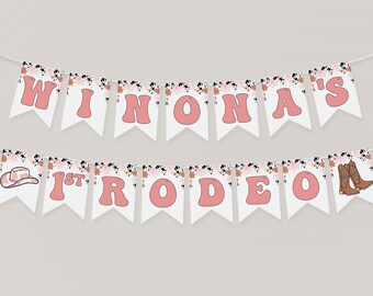 Cowgirl 1. Geburtstag Foto Banner – Pink, 13 Teile, Für Mädchen, Monatliche Meilensteine Bis 12 Monate