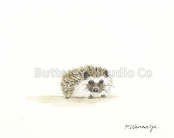 Baby Hedgehog