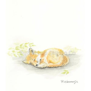 Fox Cub