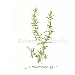 Rosemary