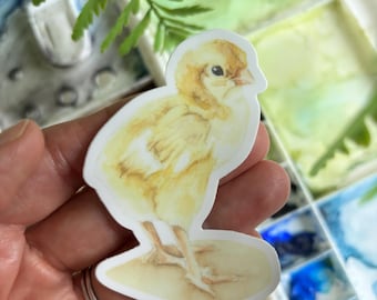 Baby Chick Sticker, Sturdy Vinyl Decal