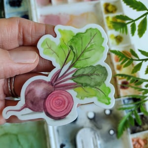 Op de afbeelding: Een aquarel sticker van een rode biet met groene bladeren en een dwarsdoorsnede. De sticker wordt in een hand gehouden, met een aquarelpalet op de achtergrond. De rode biet heeft een dieprode kleur.
