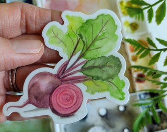 Watercolor Beets Sticker, Durable Vinyl Decal