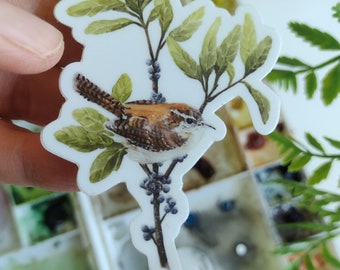 Carolina Wren Sticker, Durable Vinyl Decal