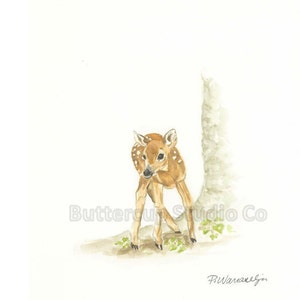 Fawn