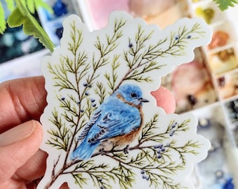 Watercolor Bluebird Sticker, Durable Vinyl Decal