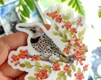 Northern Flicker Sticker, Durable Vinyl Decal