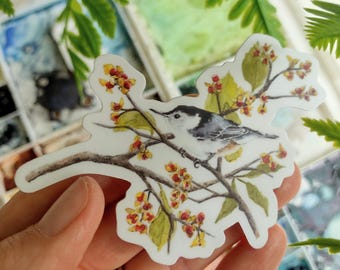 White-breasted Nuthatch Sticker, Durable Vinyl Decal
