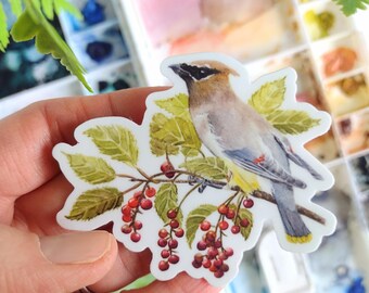 Cedar Waxwing Sticker, Durable Vinyl Decal