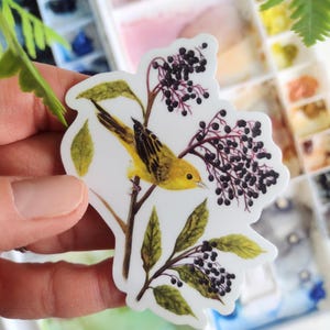 Yellow Warbler Sticker