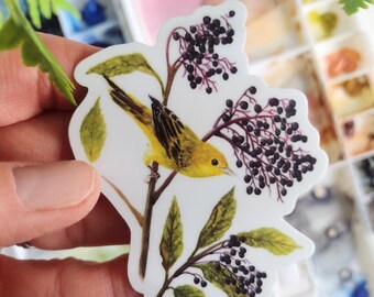 Yellow Warbler Sticker, Durable Vinyl Decal