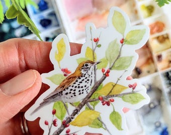 Wood Thrush Sticker, Durable Vinyl Decal