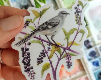 Northern Mockingbird Sticker, Durable Vinyl Decal