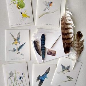 Cartes pliables Les oiseaux du monde entier, 4 1/4 x 5 1/2