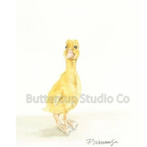 Duckling