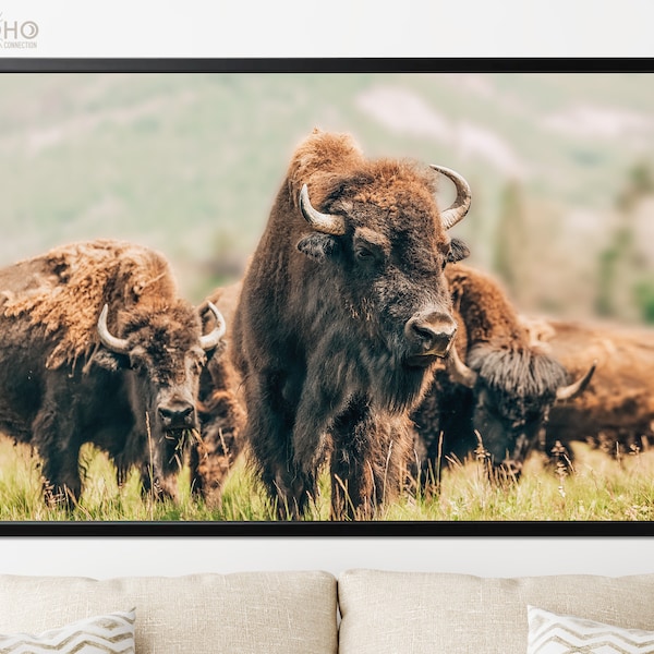 American Bison Print // American Buffalo Wall Art