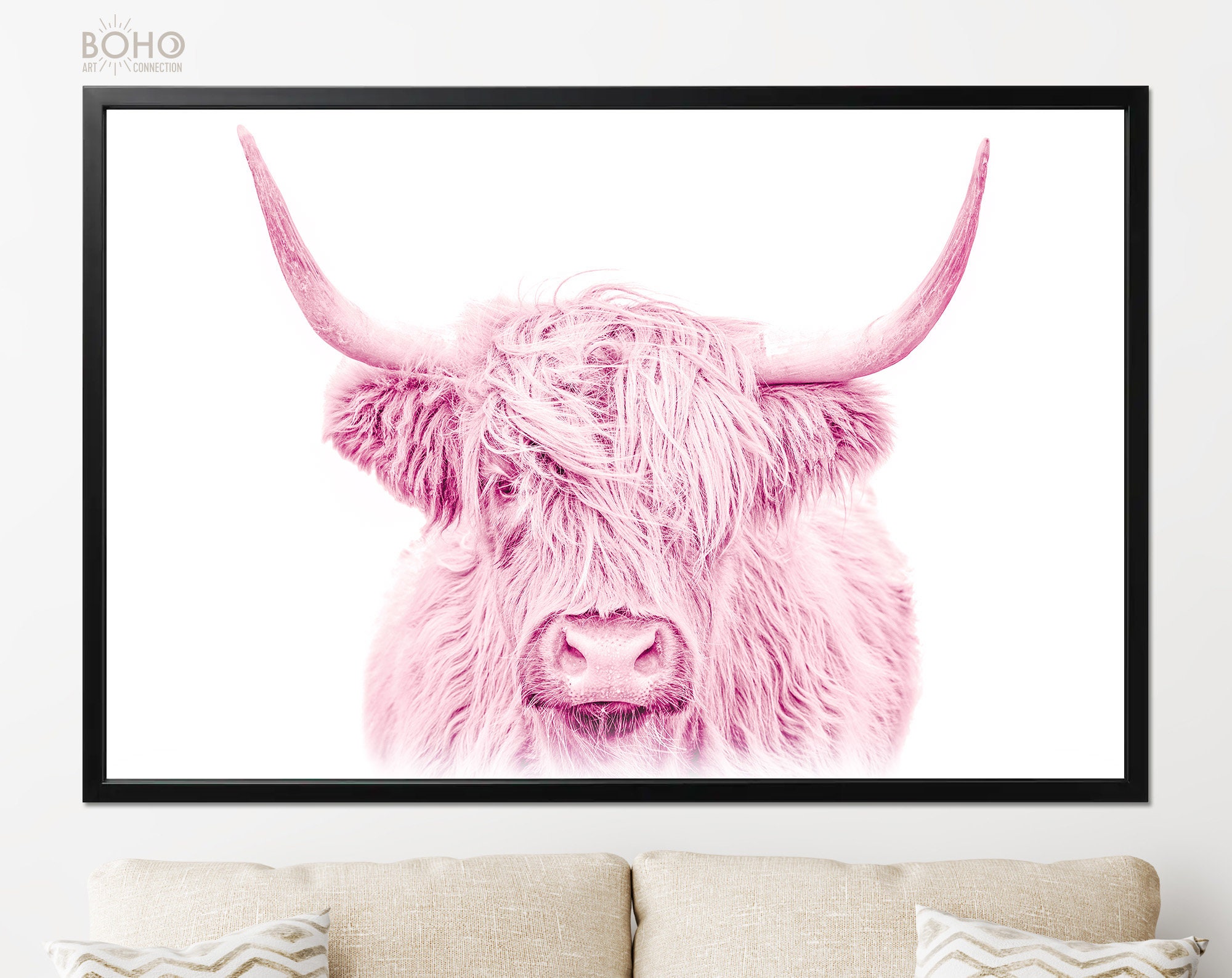 Pink highland cow