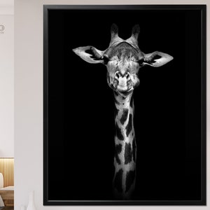 Giraffe Print // Giraffe in Black and White Portrait