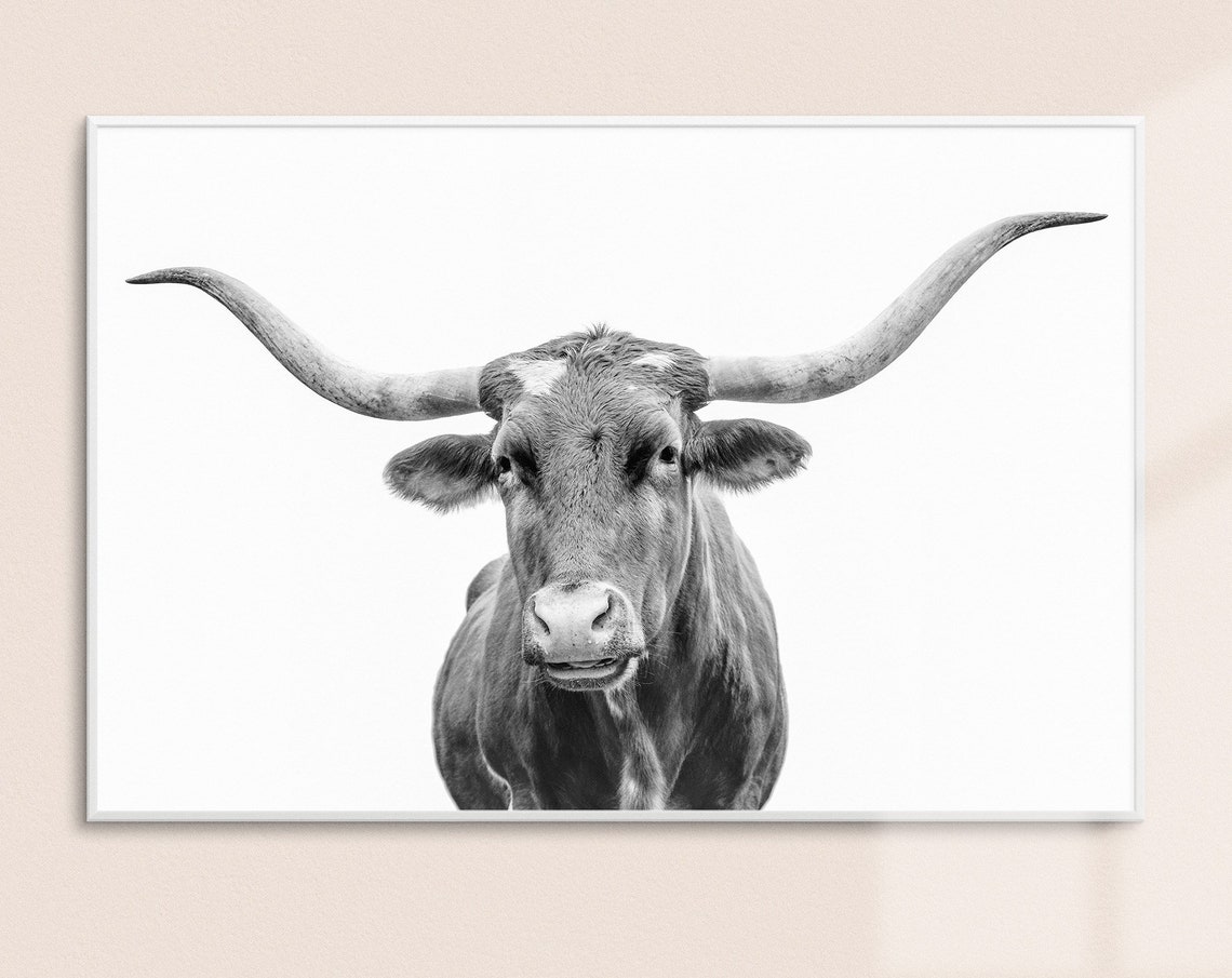 Texas Longhorn Print // Portrait of a Texas Longhorn // Black Etsy