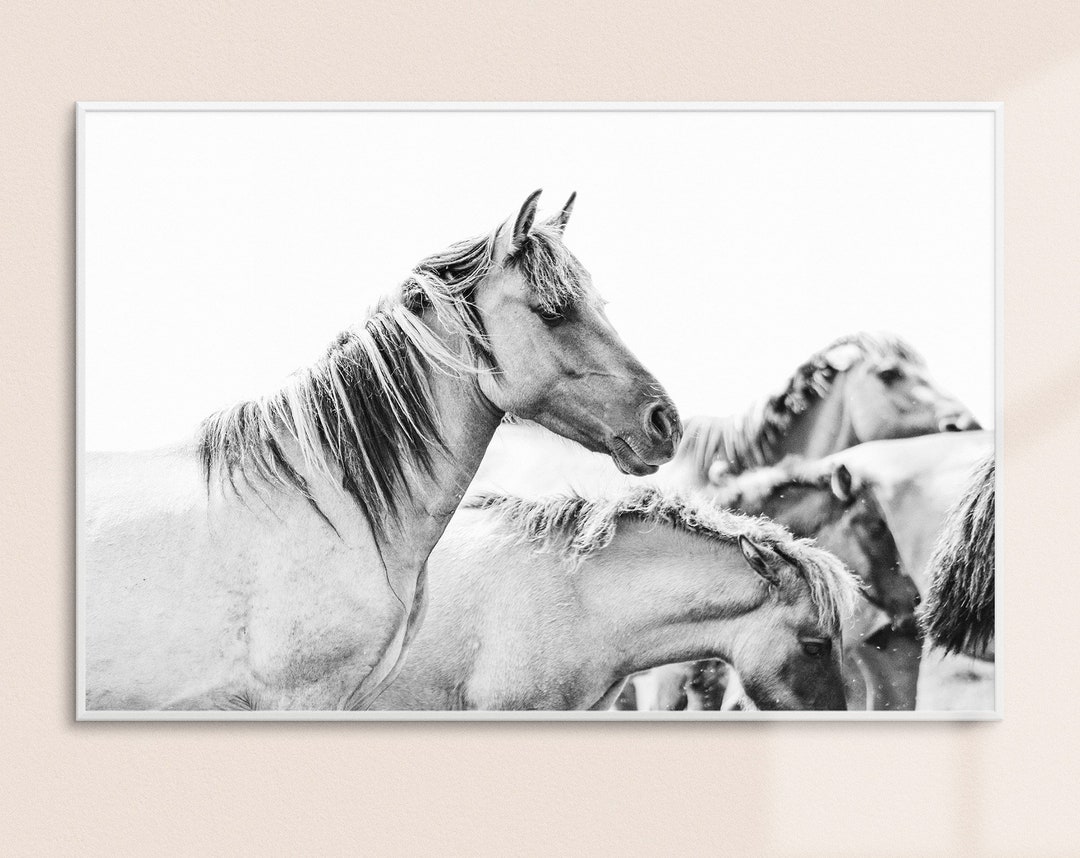 Wild Horses Print // Black and White Photo // Wild Horses Art Print - Etsy